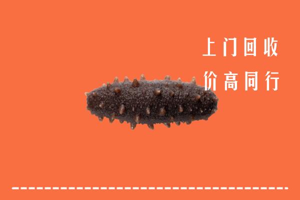 高价求购：安康回收海参